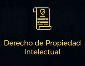 Servicios-9